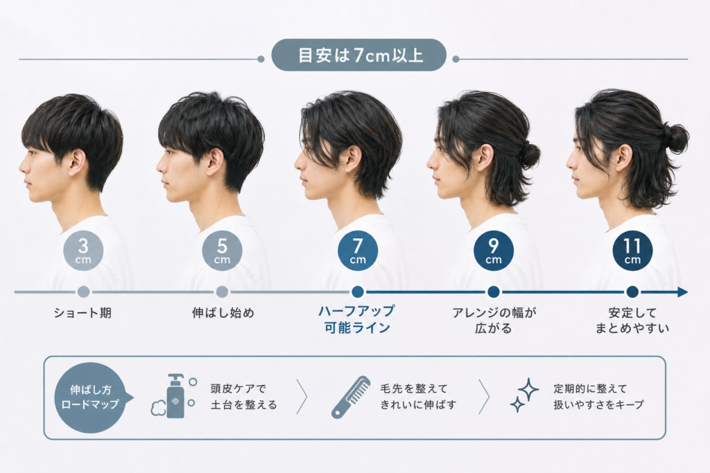 【実寸解説】ハーフアップに必要な髪の長さと伸ばし方ロードマップ