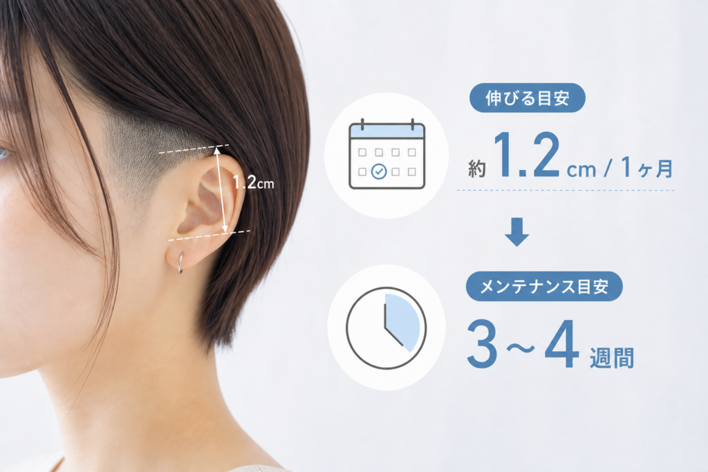 髪は1ヶ月で約1.2cm伸びる｜耳周り刈り上げのメンテナンス頻度は3〜4週間