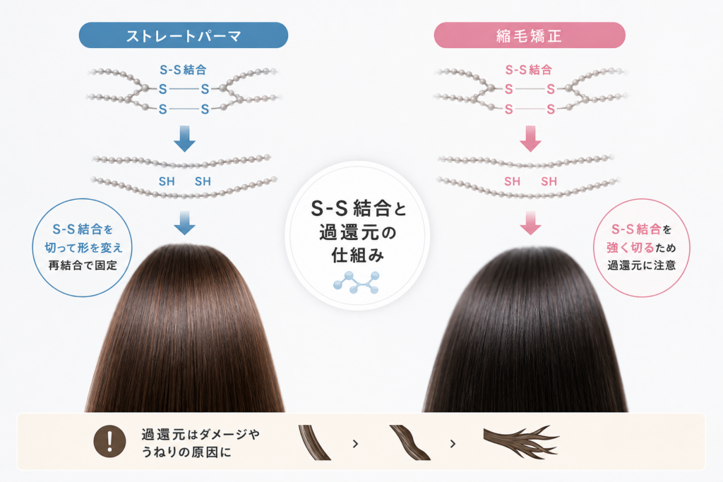 ストレートパーマと縮毛矯正の違い|S-S結合と過還元の仕組み